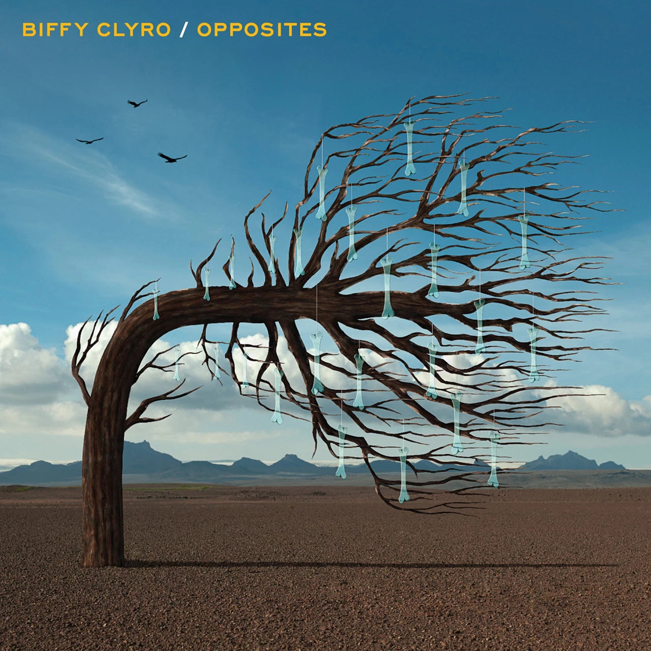 Opposites - 2x Vinyl LP