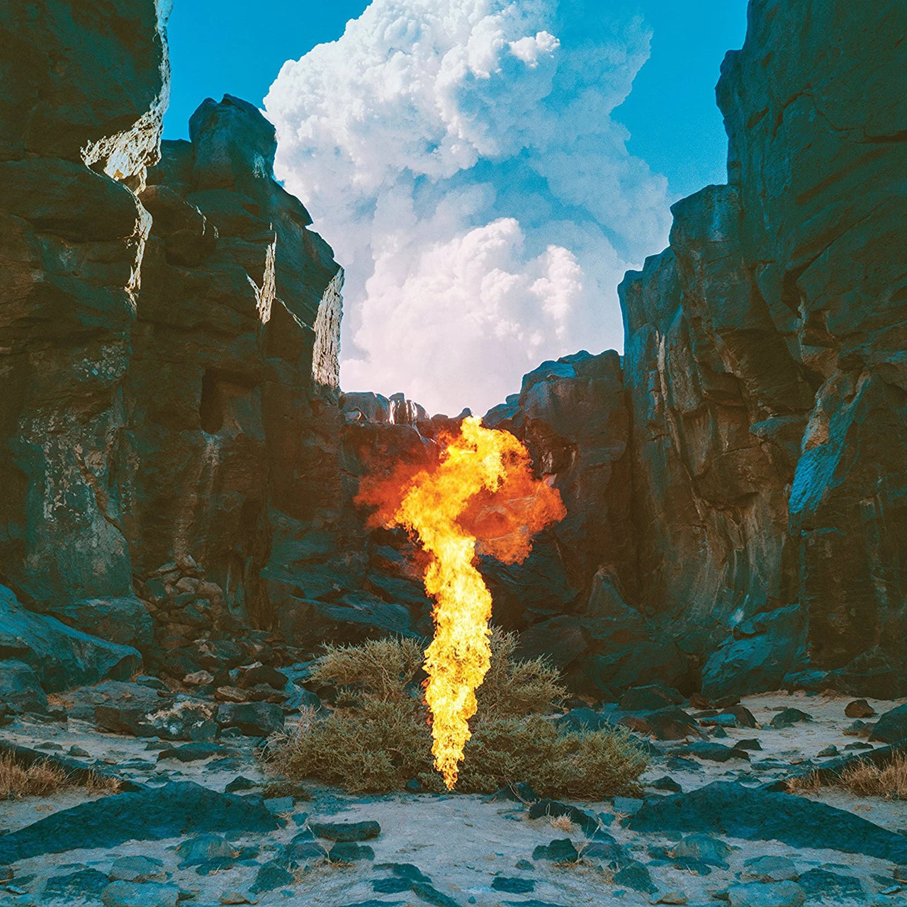 Migration - 2x Vinyl LP