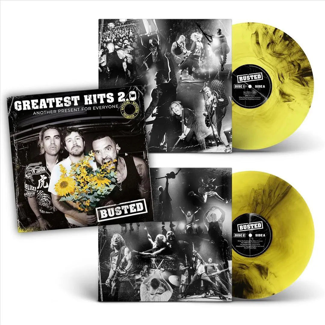 Greatest Hits 2.0: Another Present For Everyone - 2x Black & Yellow Vinyl