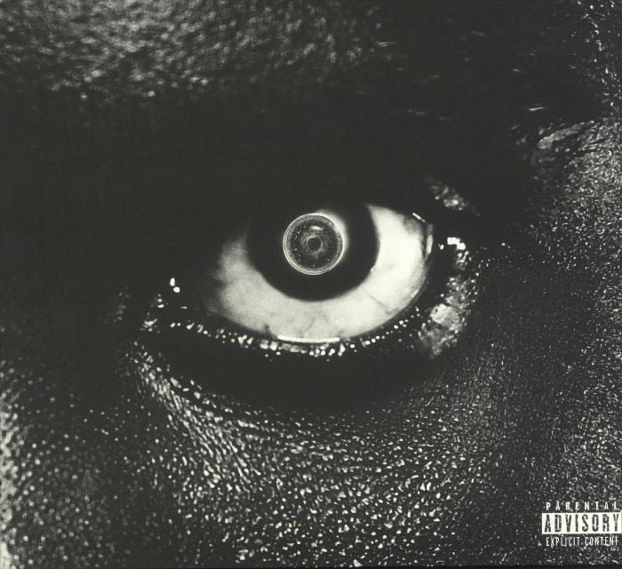 Lithopedion - 2xLP vinyl record cover