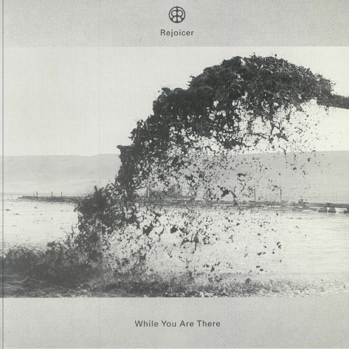 While You Are There - 2xLP vinyl record cover