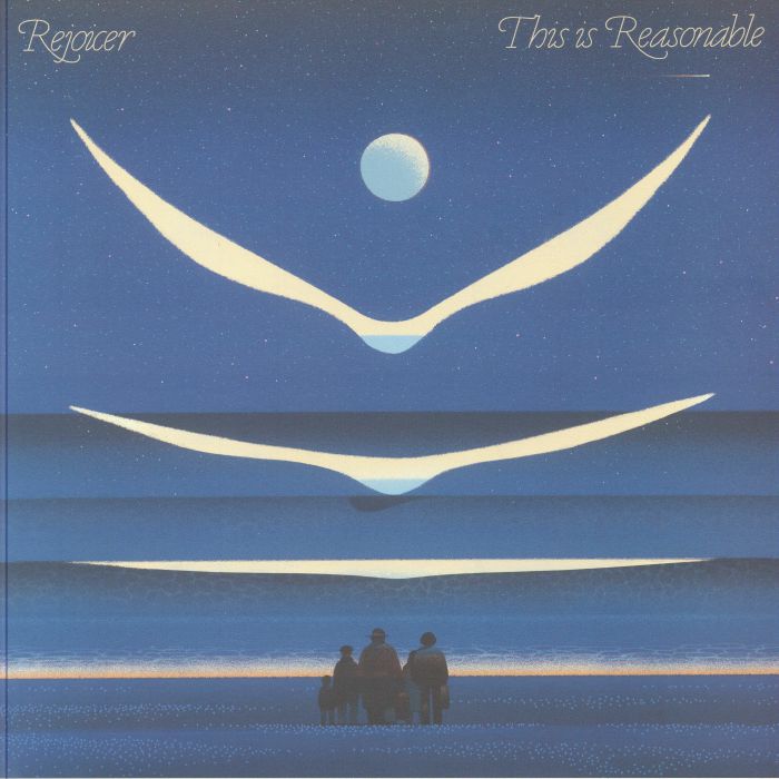 This Is Reasonable - Vinyl LP vinyl record cover