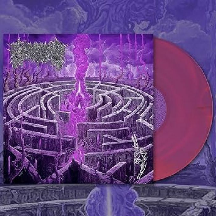 Maze Envy - Limited Edition Pink Marbled Vinyl LP vinyl record cover