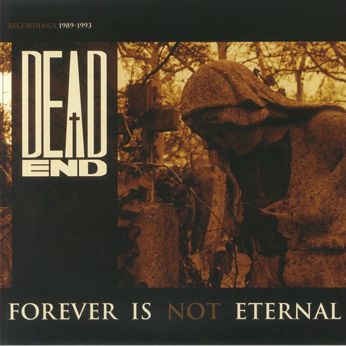 Forever Is Not Eternal - Clear Smokey Vinyl LP vinyl record cover