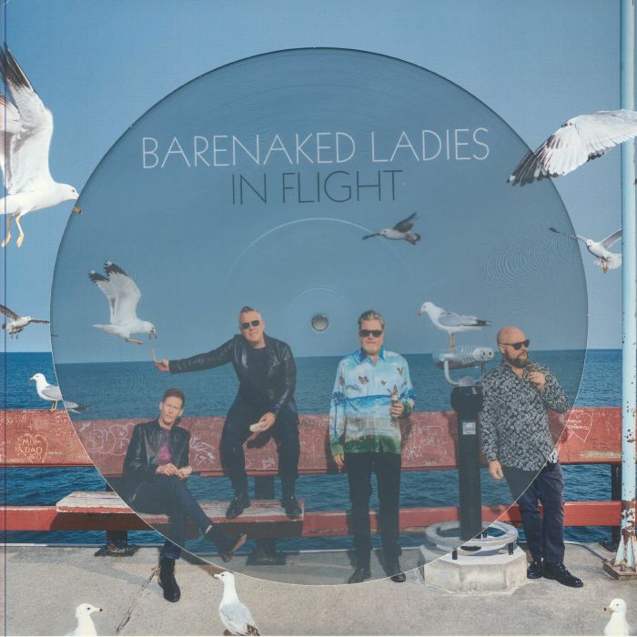 In Flight - Limited Edition Picture Disc 2xLP vinyl record cover