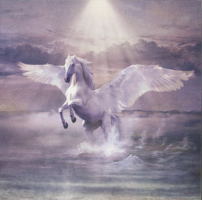 Sulle Ali Del Cavallo Bianco - Vinyl LP vinyl record cover