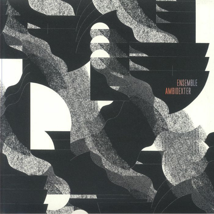 Ensemble Ambidexter - Vinyl LP vinyl record cover