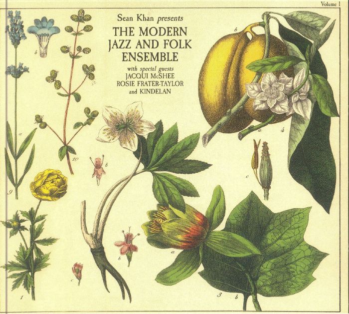 The Modern Jazz & Folk Ensemble Vol 1 - CD CD cover