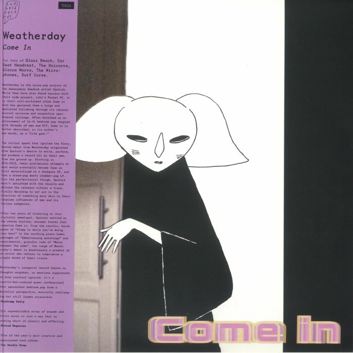 Come In - 2xLP vinyl record cover