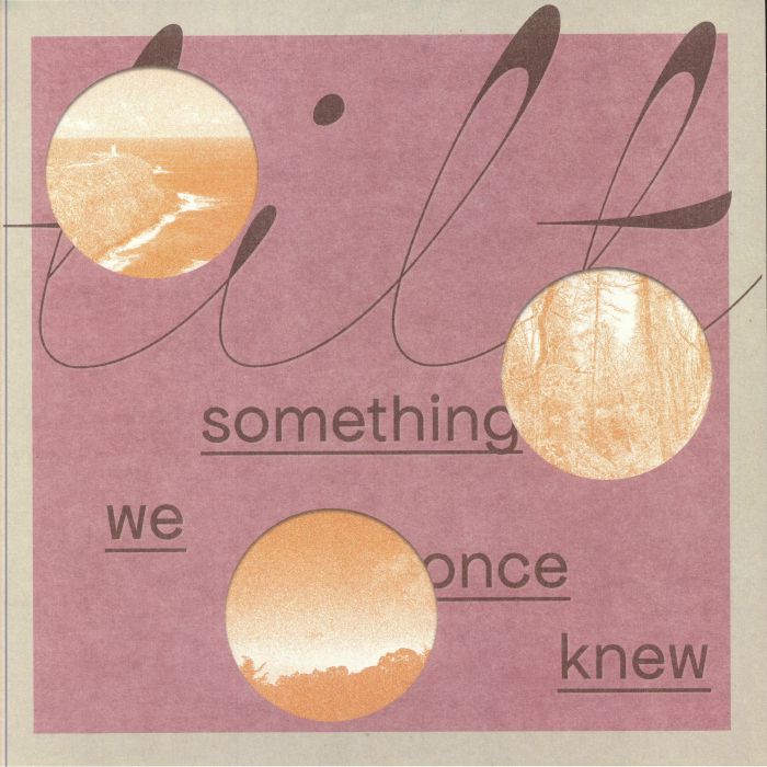 Something We Once Knew - Vinyl LP vinyl record cover