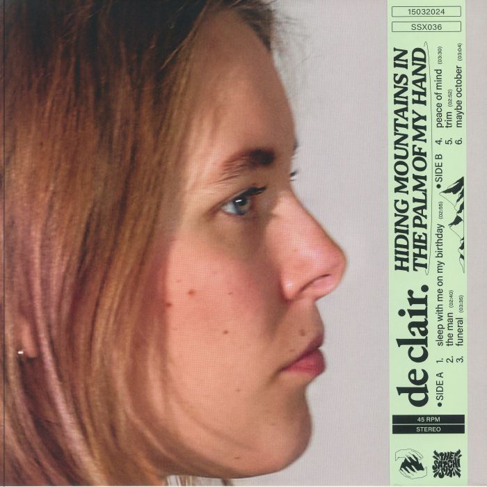 Hiding Mountains In The Palm Of My Hand - Vinyl EP vinyl record cover