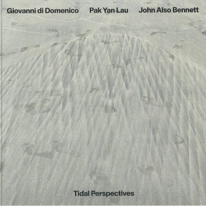 Tidal Perspectives - Limited Edition Vinyl LP vinyl record cover