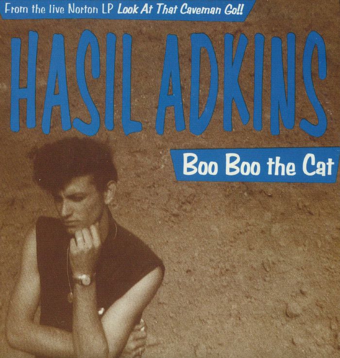 Boo Boo The Cat - Vinyl Single vinyl record cover