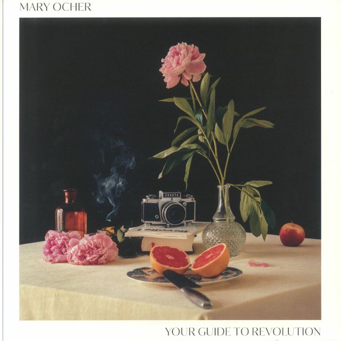 Your Guide To Revolution - Vinyl LP vinyl record cover