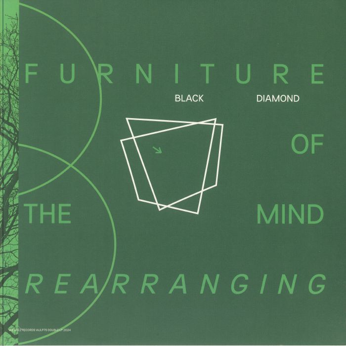 Furniture Of The Mind Rearranging - 2xLP vinyl record cover