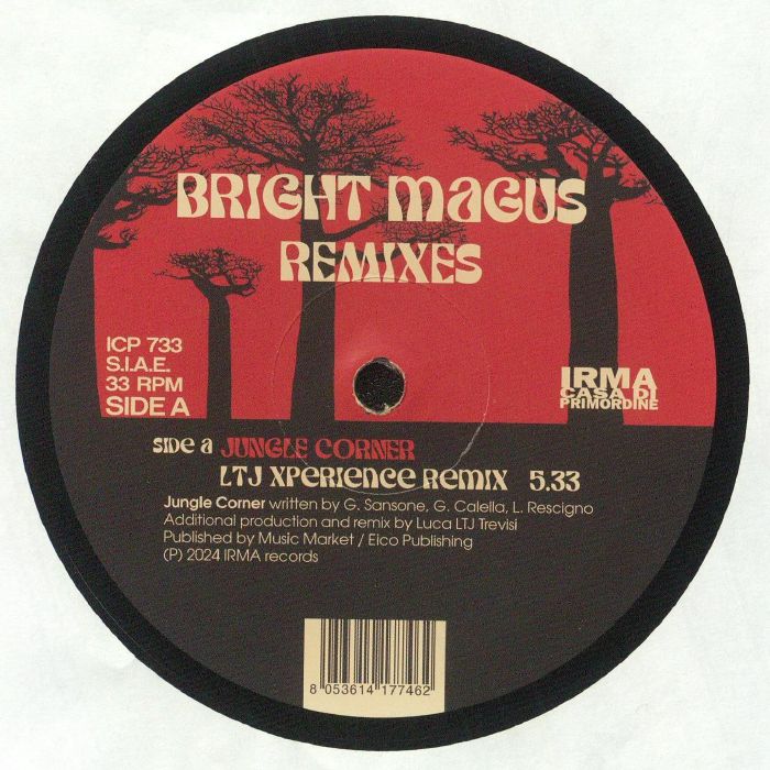 Remixes - Vinyl Single vinyl record cover