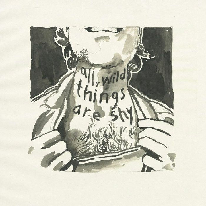 All Wild Things Are Shy - CD CD cover
