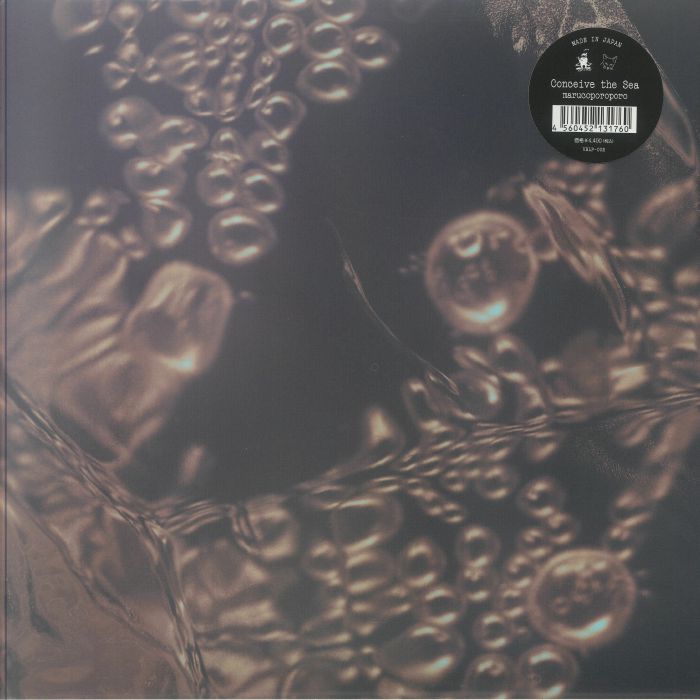 Conceive The Sea - Vinyl LP vinyl record cover