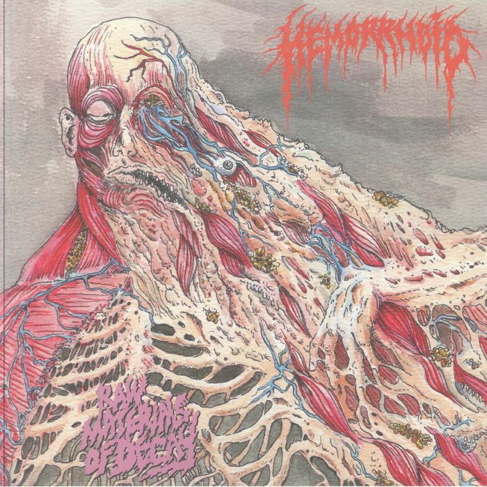 Raw Materials Of Decay - Vinyl LP vinyl record cover