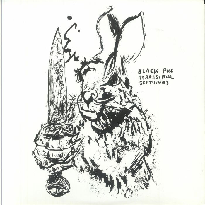Terrestrial Seethings - Vinyl LP vinyl record cover