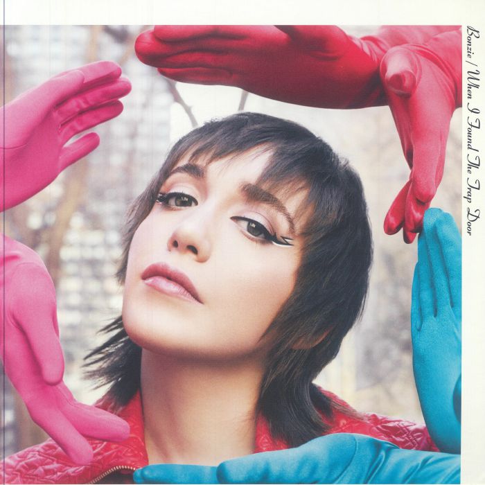 When I Found The Trap Door - Vinyl LP vinyl record cover