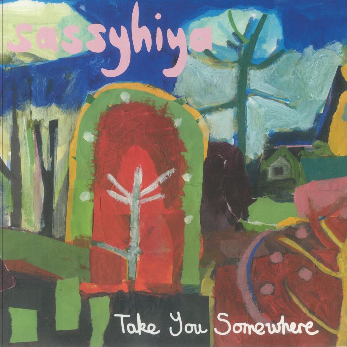 Take You Somewhere - Vinyl LP vinyl record cover