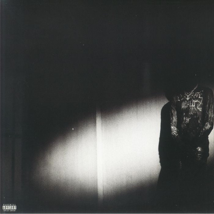 No Stylist - Vinyl LP vinyl record cover