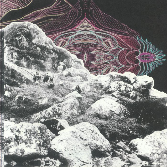 Dying Surfer Meets His Maker - Limited Edition Seaglass & Purple Vinyl LP vinyl record cover