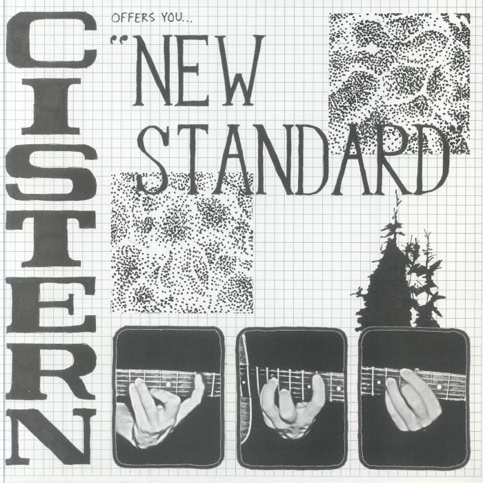 New Standard - Vinyl EP vinyl record cover