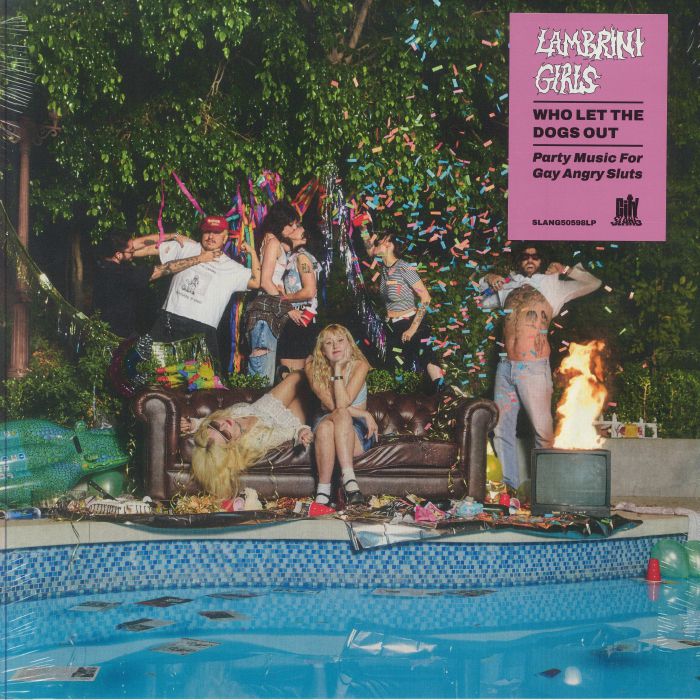 Who Let The Dogs Out - Vinyl LP vinyl record cover