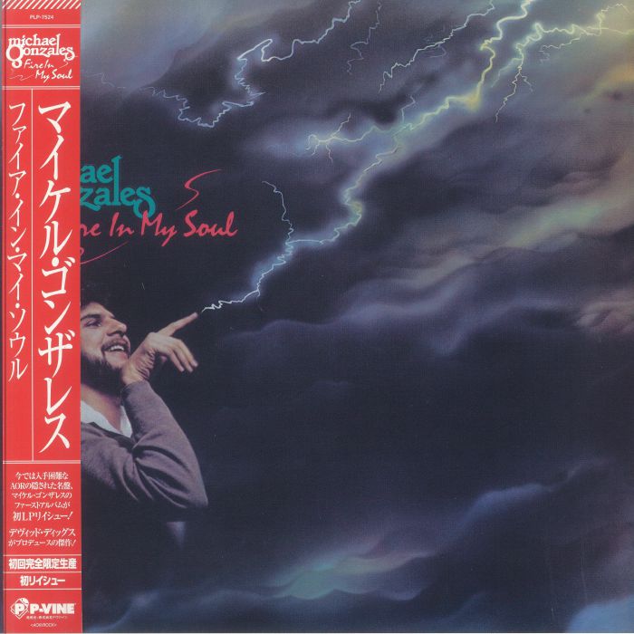Fire In My Soul - Vinyl LP vinyl record cover