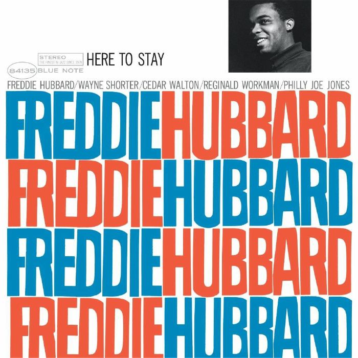 Here To Stay - Vinyl LP vinyl record cover