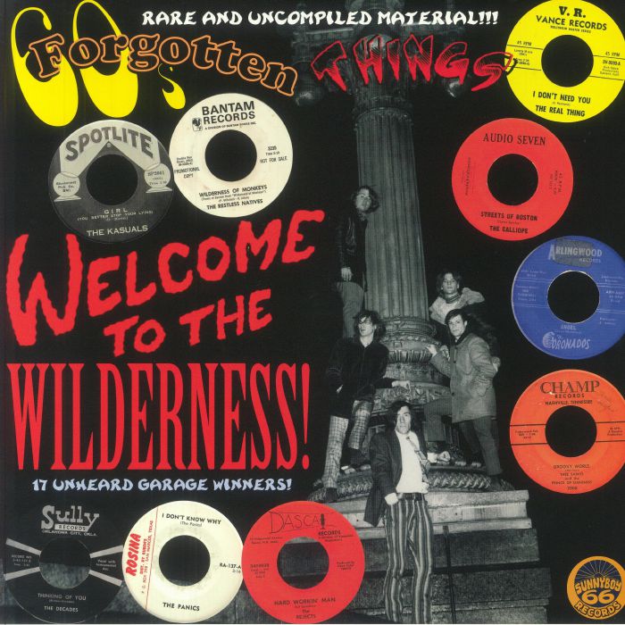 60s Forgotten Things: Welcome To The Wilderness - Blue Vinyl LP vinyl record cover