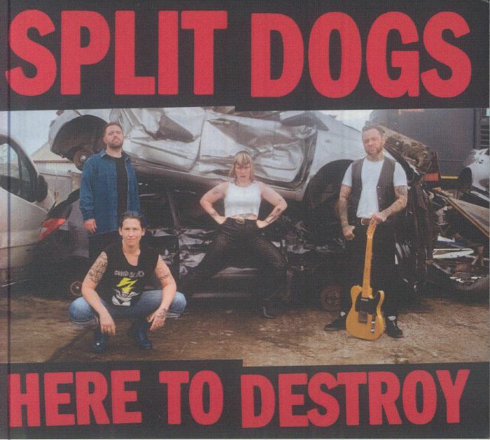 Here To Destroy - CD CD cover