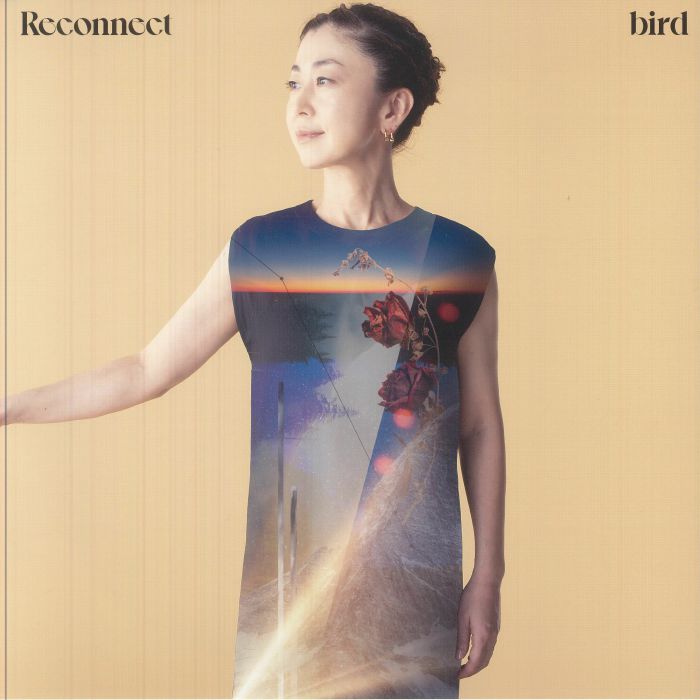 Reconnect - 25th Anniversary Edition Vinyl LP vinyl record cover