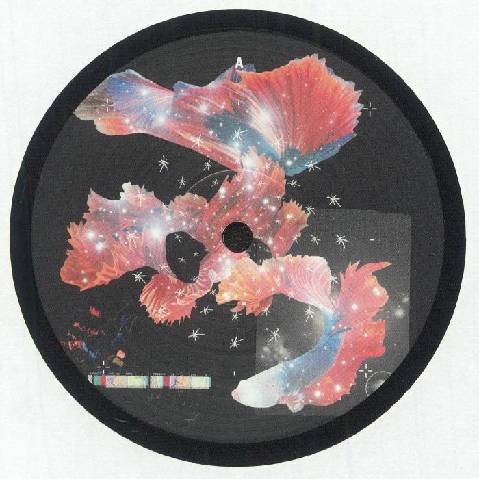 Lost In Space - Vinyl EP vinyl record cover