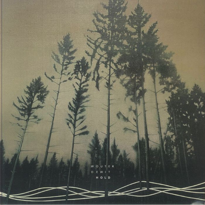 Hold - Vinyl LP vinyl record cover