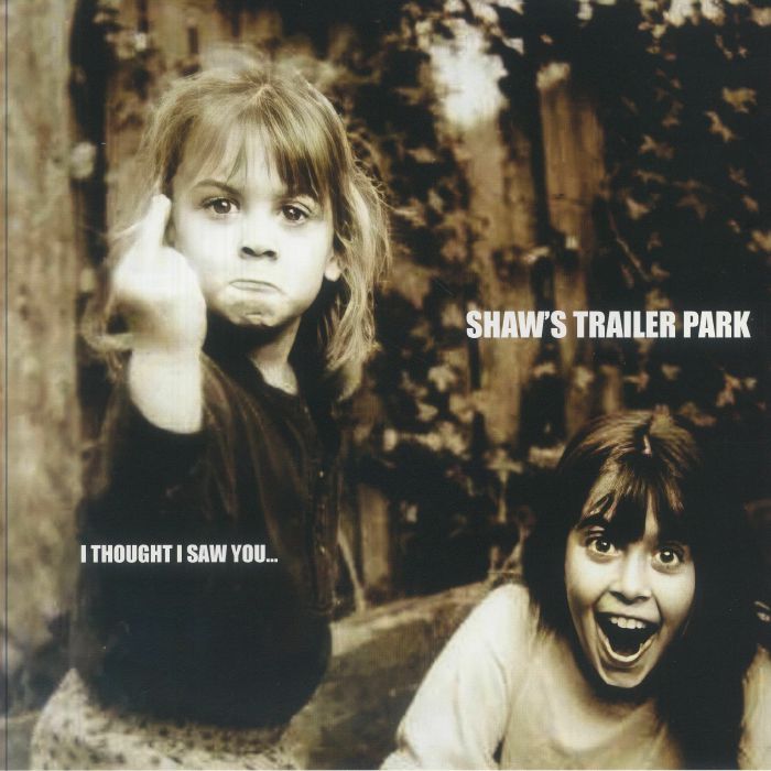 I Thought I Saw You - Vinyl LP vinyl record cover