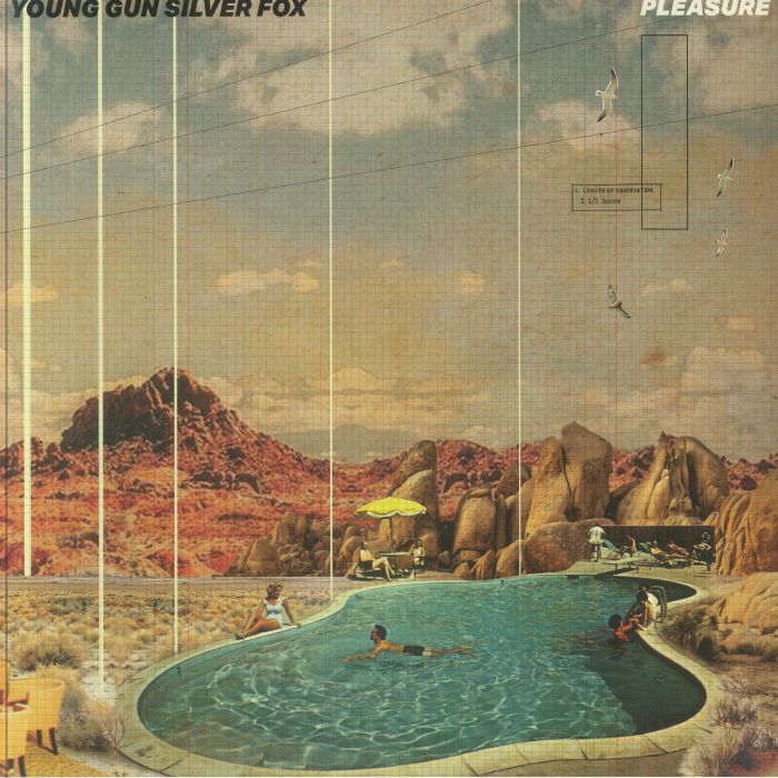 Pleasure - Vinyl LP vinyl record cover