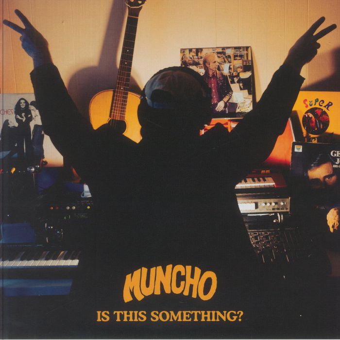 Is This Something? - Vinyl LP vinyl record cover
