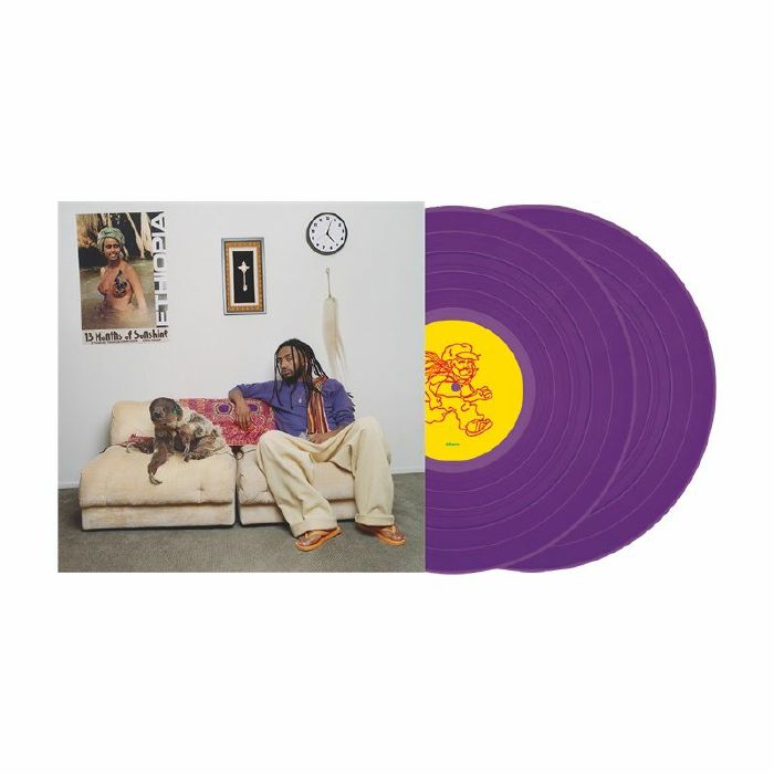 13 Months Of Sunshine - Limited Edition Purple Vinyl 2xLP vinyl record cover