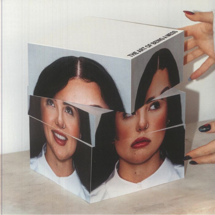 The Art Of Being A Mess - Vinyl LP vinyl record cover