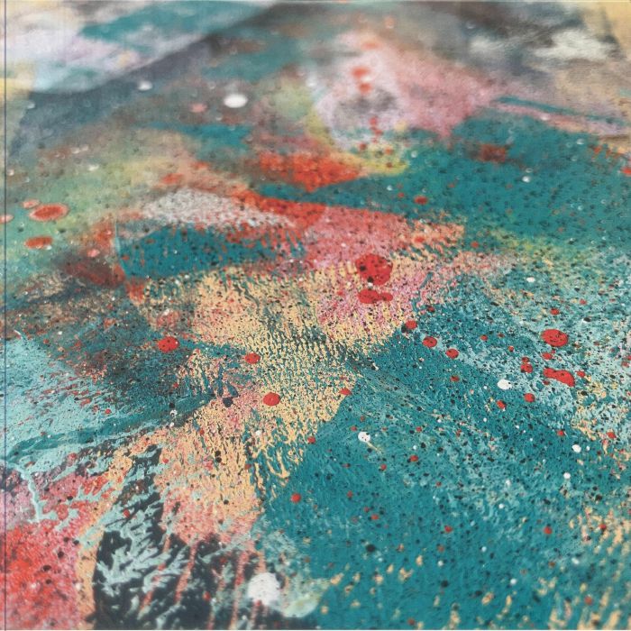Did You Enjoy Your Time Here? - Limited Edition Vinyl LP vinyl record cover
