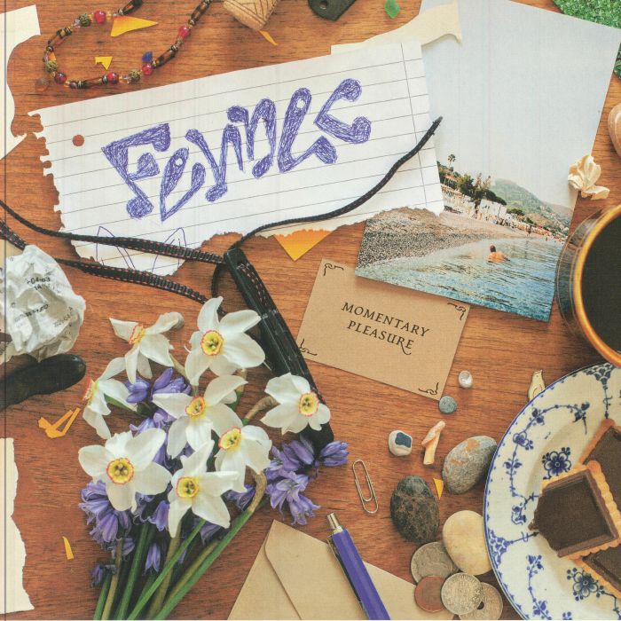 Momentary Pleasure - Vinyl EP vinyl record cover