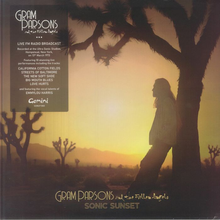 Sonic Sunset - Vinyl LP vinyl record cover