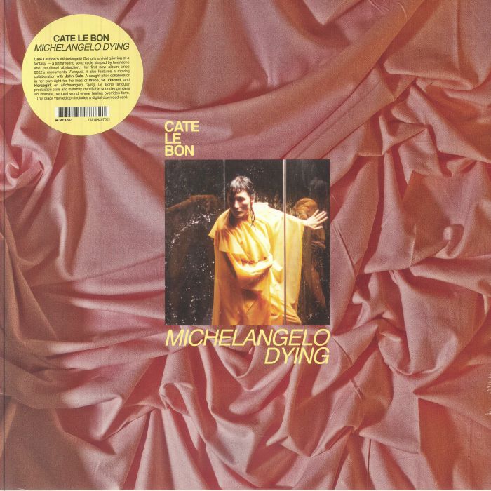 Michelangelo Dying - Vinyl LP vinyl record cover