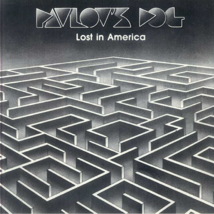 Lost In America - Clear Vinyl LP vinyl record cover