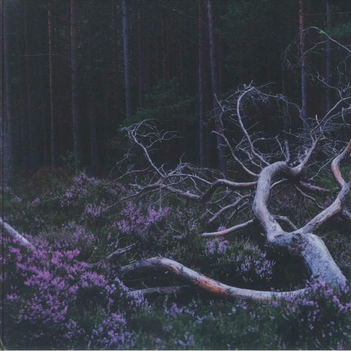 Ego Death - Vinyl LP vinyl record cover