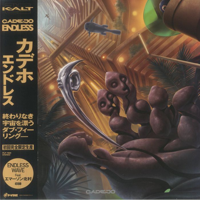 Endless - Vinyl LP vinyl record cover