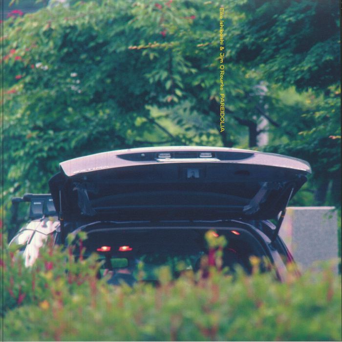 Pareidolia - Vinyl LP vinyl record cover